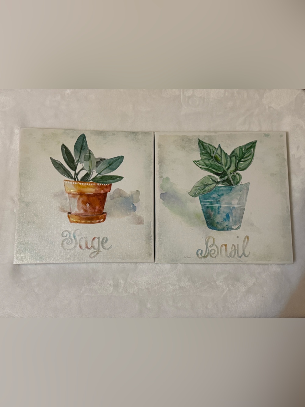 Sage & Basil Botanical Canvas Pair - Green Plants in Terracotta and Blue Pots